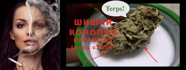 spice Ельня