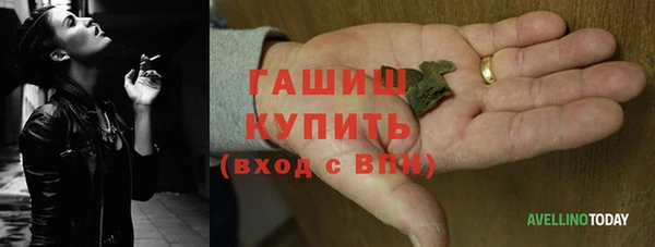 spice Ельня