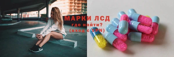 spice Ельня