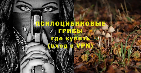 spice Ельня