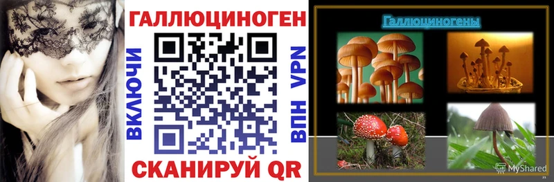 Галлюциногенные грибы GOLDEN TEACHER  Купить  Пролетарск 