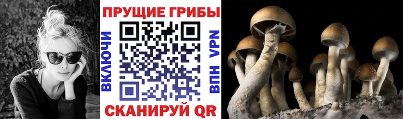 Галлюциногенные грибы прущие грибы Пролетарск